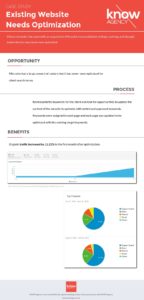 Existing Website Needs Optimization